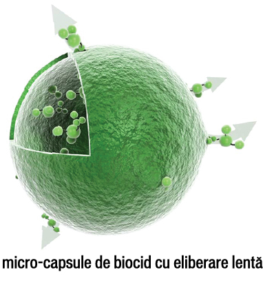 micro-capsule de biocid cu eliberare lenta